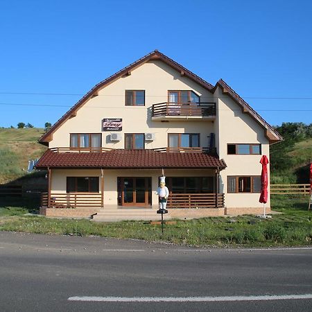 Pensiunea Fery Slobozia-Oancea Buitenkant foto