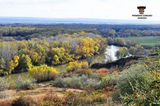 Pensiunea Fery Slobozia-Oancea Buitenkant foto