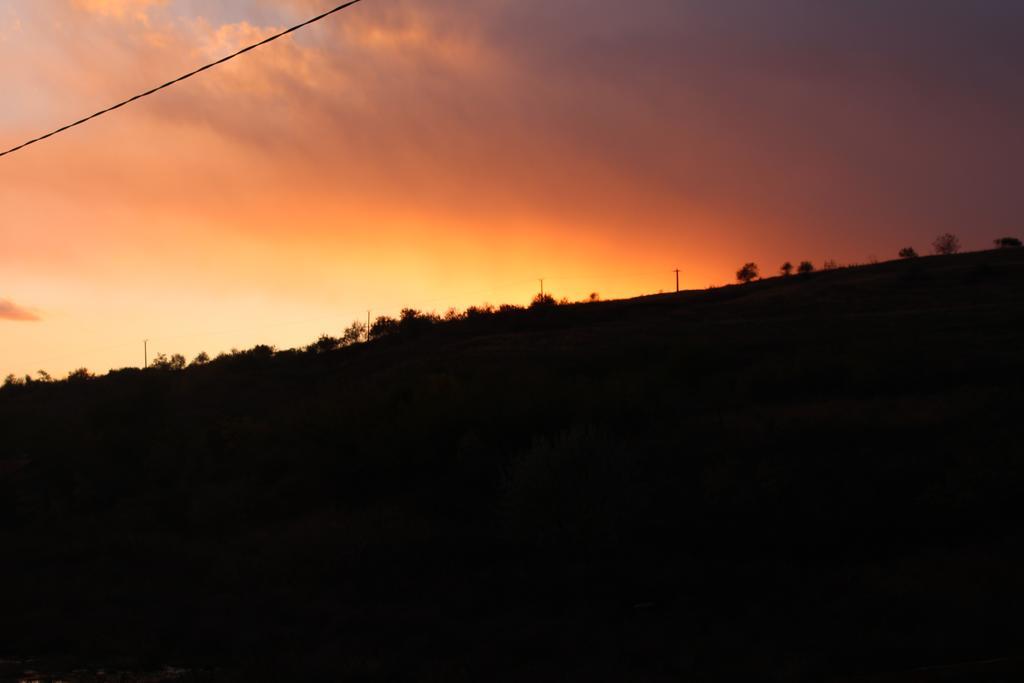 Pensiunea Fery Slobozia-Oancea Buitenkant foto