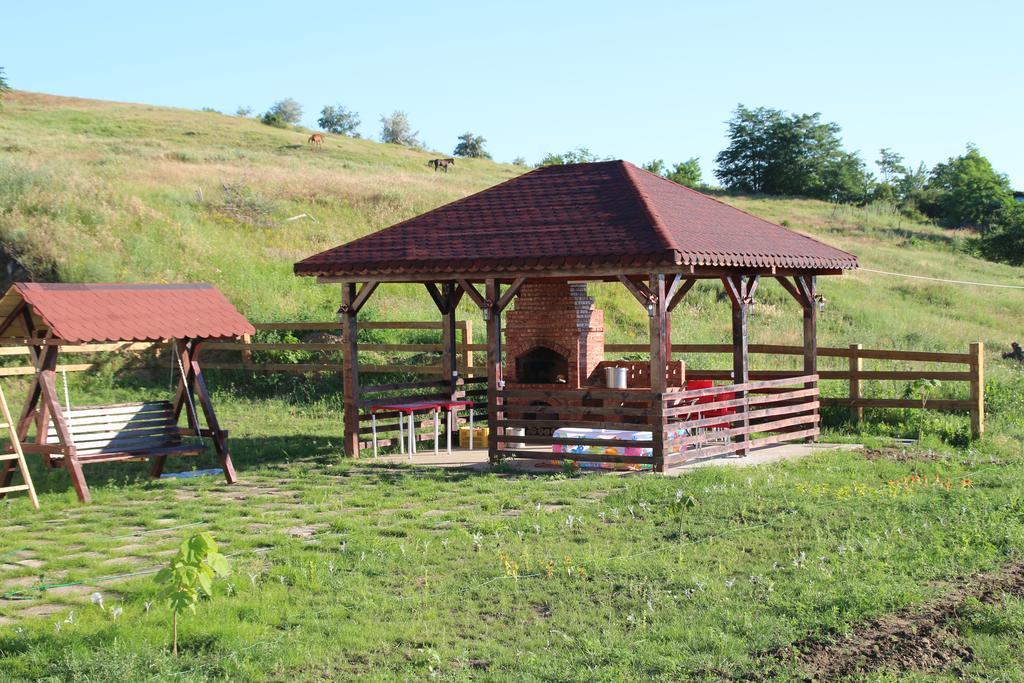 Pensiunea Fery Slobozia-Oancea Buitenkant foto